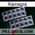 Kamagra 31